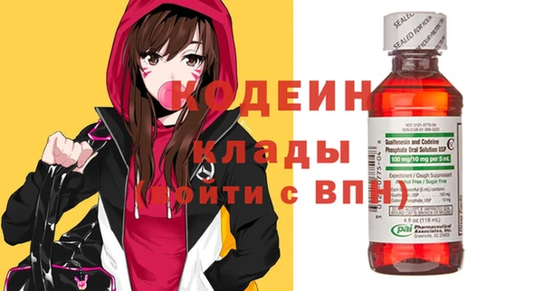 прущие грибы Заводоуковск