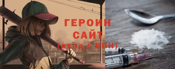 сатива Ельня
