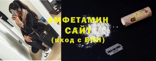 прущие грибы Заводоуковск
