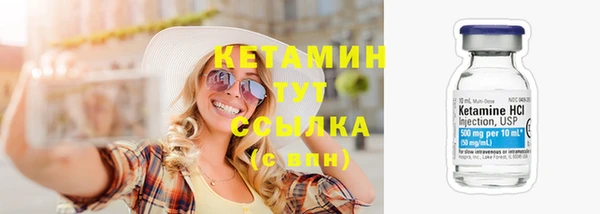 сатива Ельня