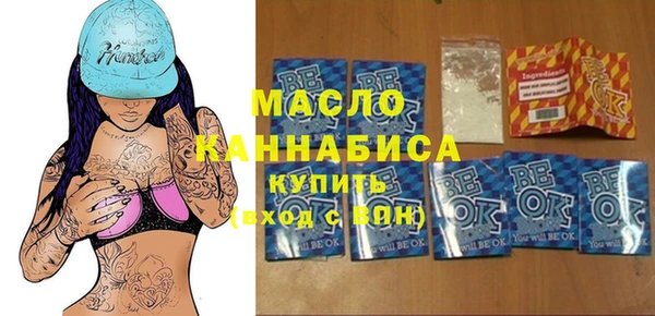 сатива Ельня