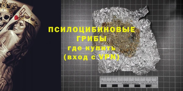 сатива Ельня