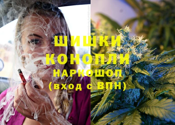 амф Елизово