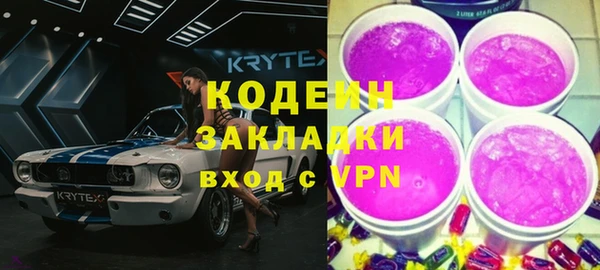 прущие грибы Заводоуковск