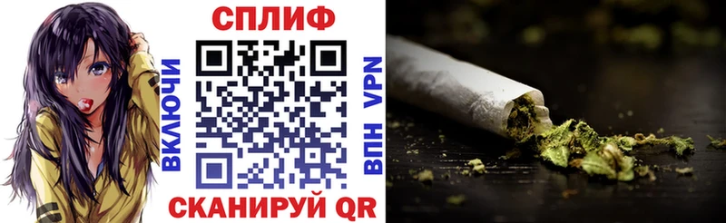 купить наркоту  мега ссылки  Конопля сатива  Павловский Посад 